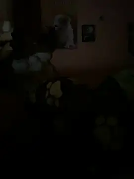 Miliboobs  online show from March 2, 4:50 am