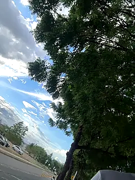 arevalo1124 online show from November 26, 9:27 pm