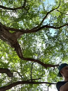 arevalo1124 online show from December 5, 3:52 pm