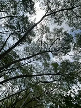 arevalo1124 online show from December 18, 3:29 pm