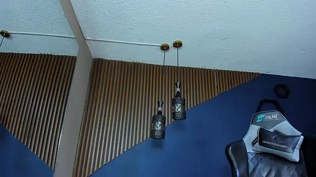 Snapshot of ErickCarmack chatting on February 25, 4:24 am ErickCarmack online show from February 25, 4:24 am