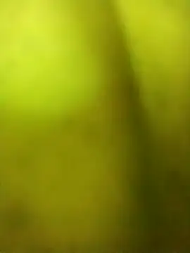 alicnonave online show from November 27, 12:02 am