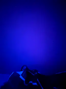 Dehtrans online show from March 11, 9:15 am