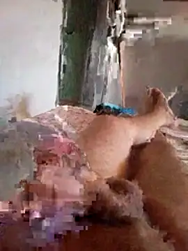 Zaberpop online show from April 9, 3:50 pm