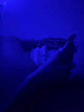 bigbola304 online show from November 12, 5:19 am