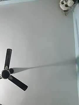 Babybird online show from February 10, 8:42 pm