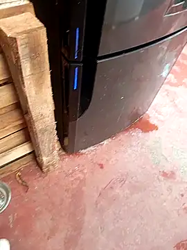 HotC1991 online show from January 12, 3:17 pm