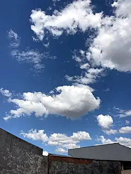 Mineirinho043 online show from November 26, 6:20 pm