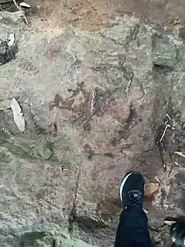 hotgirlpriya789 online show from October 19, 11:00 am