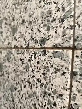 Snapshot of henri69 chatting on February 24, 2:42 am henri69 online show from February 24, 2:42 am