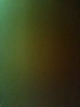 PPP-30 online show from February 20, 1:40 pm