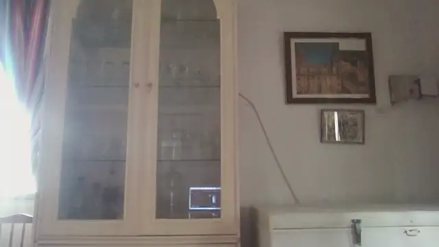 Snapshot of llopaco chatting on December 15, 10:52 am llopaco online show from December 15, 10:52 am