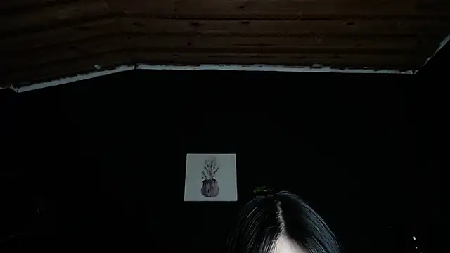 fyreandfox  online show from November 24, 8:30 pm