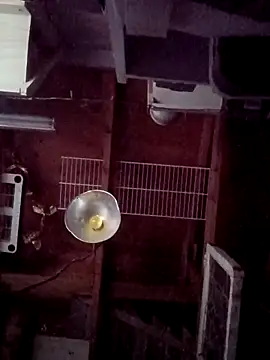 salchichon 69 online show from March 31, 2:28 pm