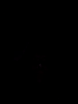 Nidge251 online show from November 4, 5:28 am