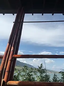 Alice surprise online show from March 26, 8:58 pm