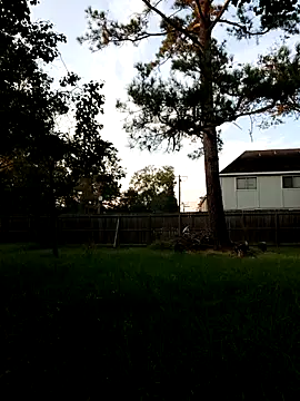 HTXBELLE online show from September 13, 11:59 pm