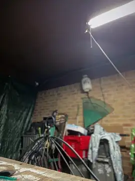 HTXBELLE online show from March 13, 1:23 am