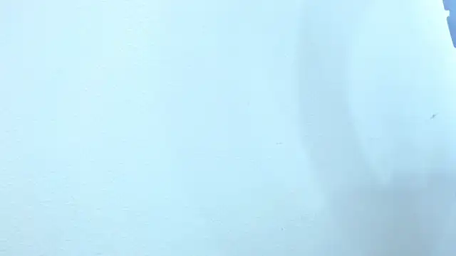 sebastian colle online show from February 26, 3:08 pm