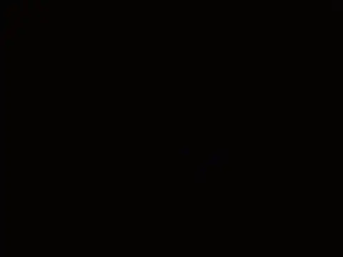 Pandora 9666 online show from January 8, 5:04 pm