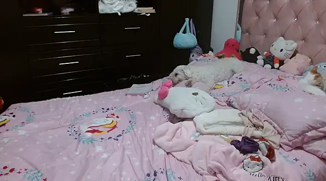 Snapshot of hellokitty__valery chatting on March 23, 6:26 am hellokitty valery online show from March 23, 6:26 am