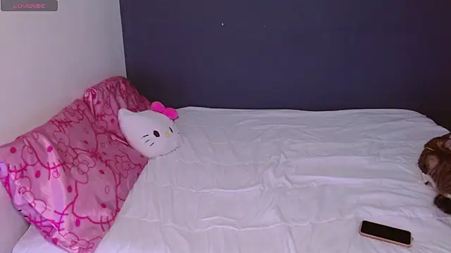 Snapshot of hellokitty__valery chatting on October 26, 3:45 am hellokitty valery online show from October 26, 3:45 am