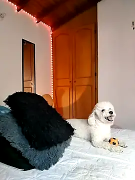 morenosiam online show from November 23, 9:36 pm