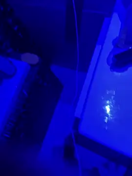 Snapshot of gryzoon chatting on March 20, 5:12 am gryzoon online show from March 20, 5:12 am