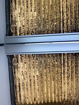 Snapshot of Madisson-Rivas chatting on October 14, 7:14 pm Madisson-Rivas online show from October 14, 7:14 pm