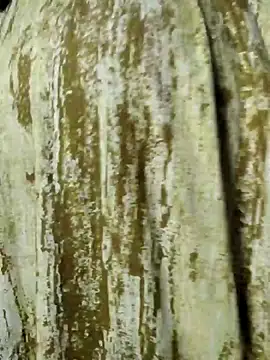 Snapshot of mens_weakness chatting on November 2, 6:49 am mens weakness online show from November 2, 6:49 am