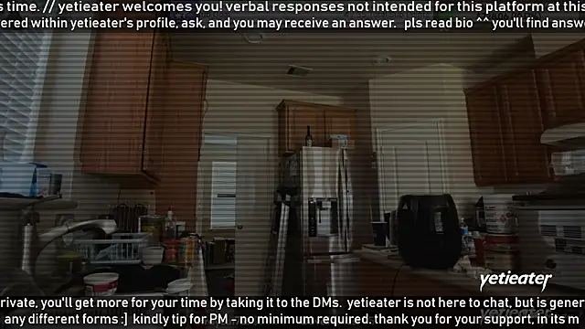 yetieater online show from July 24, 2:37 pm