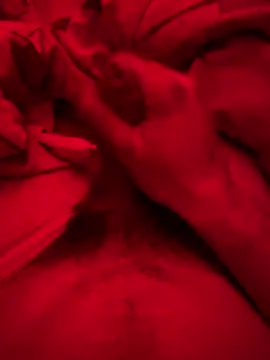 Snapshot of ruchacz24 chatting on March 6, 2:51 am ruchacz24 online show from March 6, 2:51 am