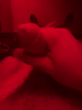 Snapshot of ruchacz24 chatting on October 14, 1:50 am ruchacz24 online show from October 14, 1:50 am