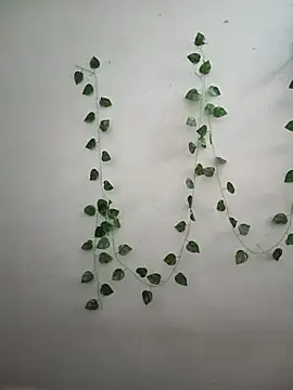 Snapshot of Neha-Bhabhi-Rasily chatting on February 14, 4:42 am Neha-Bhabhi-Rasily online show from February 14, 4:42 am