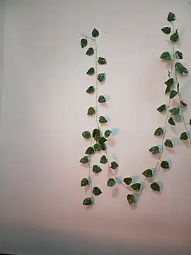 Snapshot of Neha-Bhabhi-Rasily chatting on February 18, 11:17 am Neha-Bhabhi-Rasily online show from February 18, 11:17 am