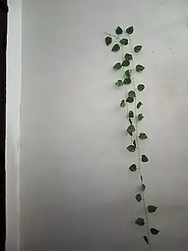 Snapshot of Neha-Bhabhi-Rasily chatting on March 24, 3:55 am Neha-Bhabhi-Rasily online show from March 24, 3:55 am