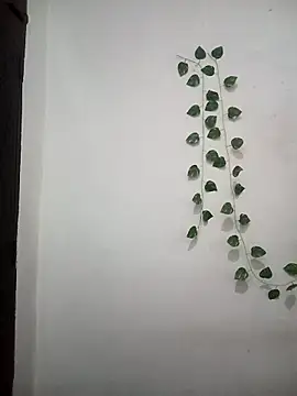 Snapshot of Neha-Bhabhi-Rasily chatting on March 25, 5:24 am Neha-Bhabhi-Rasily online show from March 25, 5:24 am