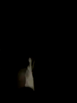 Dasul  online show from October 11, 7:07 am