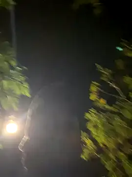 Dasul  online show from November 2, 5:21 am