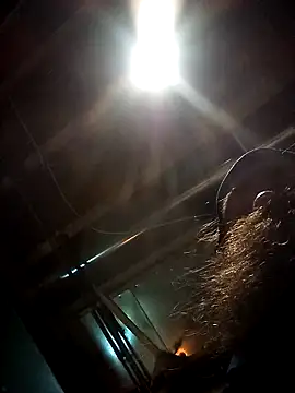 Snapshot of SirJonBradley chatting on September 19, 10:49 am SirJonBradley online show from September 19, 10:49 am