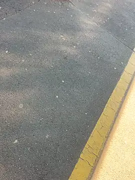 Snapshot of sohasenki chatting on April 4, 2:03 pm sohasenki online show from April 4, 2:03 pm