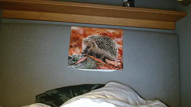 Saysay-7 online show from October 5, 5:33 pm