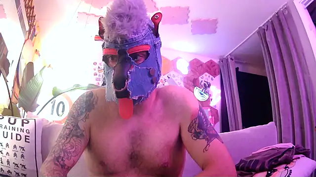 danix wild wolf online show from July 26, 10:00 am
