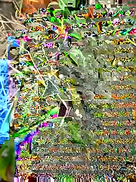 himvilohi08 online show from September 27, 12:32 pm