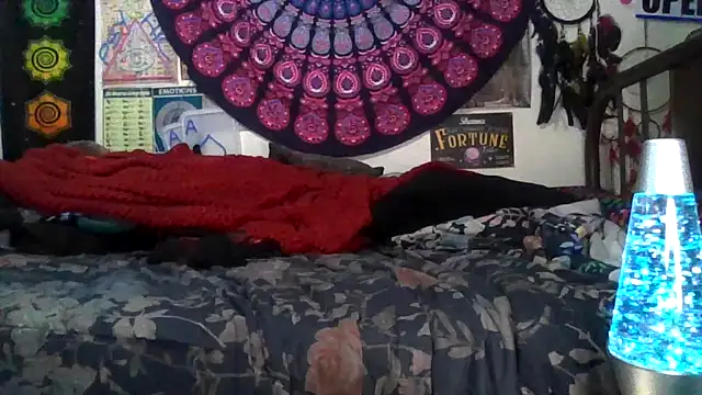 GardeniaFields online show from February 11, 4:50 am