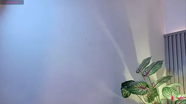 Snapshot of TiffanyWalk chatting on November 27, 11:34 am TiffanyWalk online show from November 27, 11:34 am