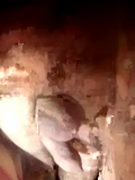 Ayush pussy fucker online show from November 23, 6:08 pm