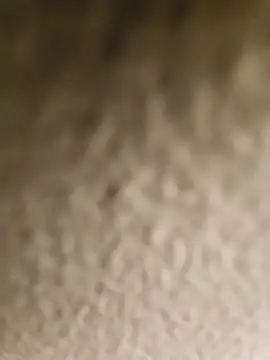 Snapshot of ikeike-kun chatting on April 8, 2:44 am ikeike-kun online show from April 8, 2:44 am