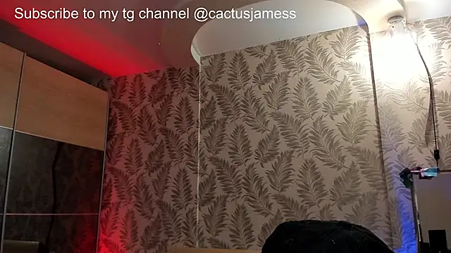 Snapshot of Cactus__James chatting on October 2, 12:28 am Cactus James online show from October 2, 12:28 am