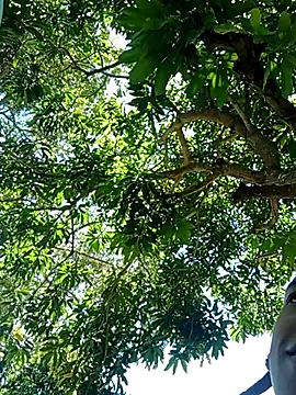 perversumm online show from September 21, 4:19 pm